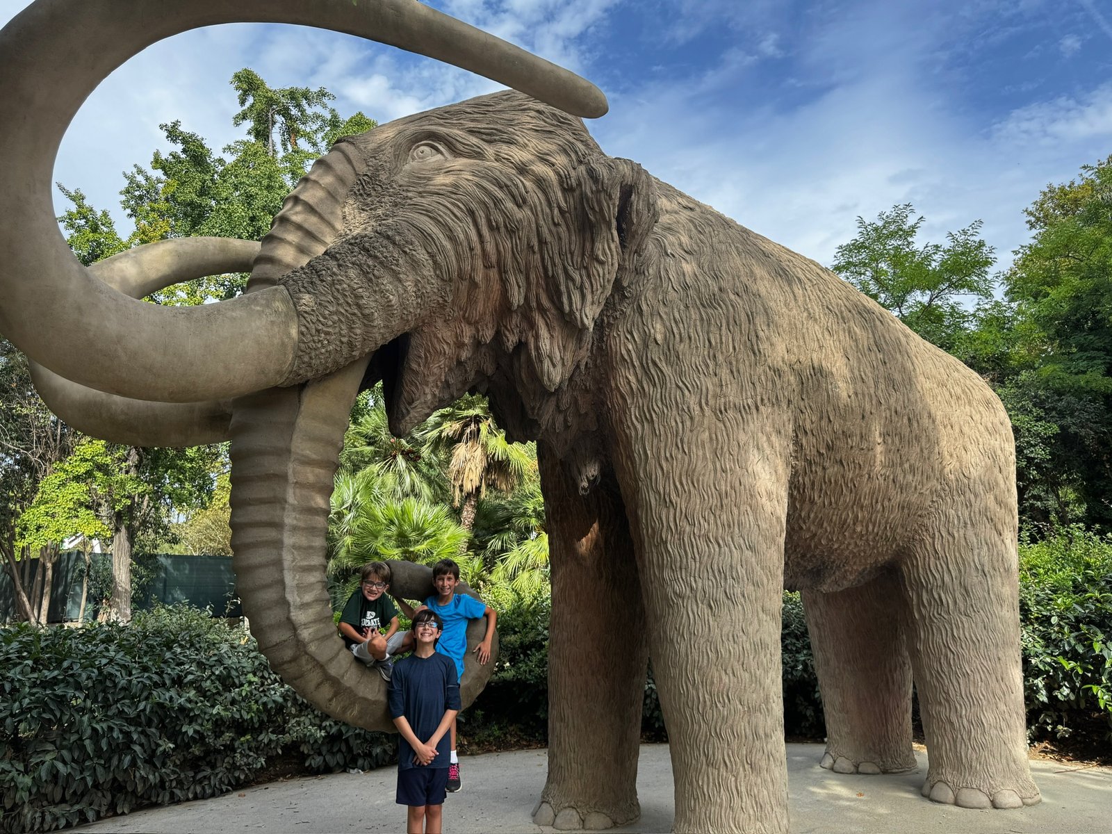 Barcelona: Tour & Montjuic