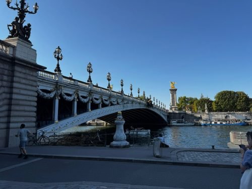 fancy bridge: Pont Alexander III